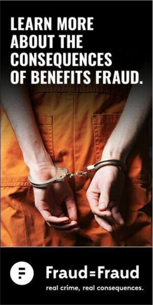 Ad for Fraud = Fraud campaign for CLHIA, copywriter Jessica Grajczyk